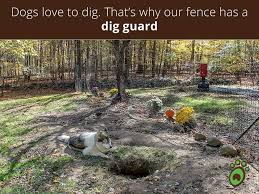 A dog fence is an important detail to consider when adopting a pet for the first time or moving your underground barriers like dig defence or natural dog repellent sprays made of things like vinegar diy enthusiasts will be happy to learn that a virtual gps operated fence is easy to set up and use. Pet Playgrounds Diy Dog Fence Kits Dog Fence Kits And Installation