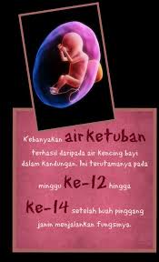 Urine keluar dari saluran kencing. Facebook