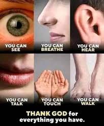 Gratitude to god for everything