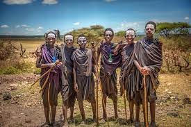 tanzaˈni.a), officially the united republic of tanzania (swahili: Tanzania Travel Africa Lonely Planet