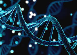 رغم حصولهما على جائزة نوبل قبل 70 عاما.. واتسون وكريك لم يكتشفا الحمض النووي  | علوم | الجزيرة نت