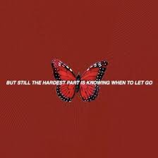 Sup bebola ikan cendawan shitake#fayekusairi#cendawan. Aesthetic Tumblr Tumblrpost Tumblraesthetic Red Neon Peace Black Grunge Vscogirl Vscofilters Ootd Art Aesthetic Words Grunge Quotes Words