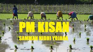 Pm kisan farmers who are waiting for their next pm kisan instalment under the pm kisan yojana which is 7th instalment need to check their account because the 7th installment was to be paid from 1st of dec. Pm Kisan Samman Nidhi Yojana List 2019 These Farmers To Benefit Check Revised Eligibility Official Website Zee Business