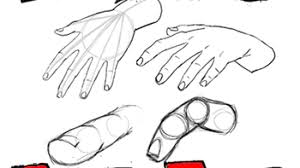 Check spelling or type a new query. How To Draw Hands And Fingers In Manga Anime Illustration Style Drawing Tutorial How To Draw Step By Step Drawing Tutorials
