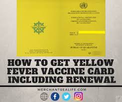 Yellow fever is a serious infection spread by mosquitoes with the possibility of death. How To Get Yellow Fever Vaccine Card Including Renewal Merchant Sea Life