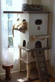 Bring your cat into a small room and shut the door. Pin By Ruth Boyd On Chasanstoi Cat Hotel Cat Room Cat Diy