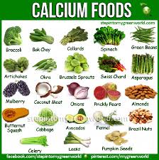 Humnutritionshipping Aliments Riches En Calcium Aliments Bons Pour La Sante Habitudes Alimentaires