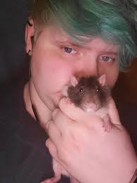 Trollface... Even Captain Vor has one!!! xD