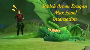 You'll be very curious that you thankfully, all ended well for your welsh green dragon, and your friendship with hagrid is growing stronger. Welsh Green Dragon Max Level Harry Potter Hogwarts Mystery Youtube