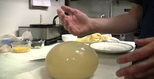 Ostrich Eggs Taste And The Right Way To Cook Them Ostrich Food Eggs Cooking