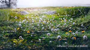 The Grass Essentials Some Beautiful Pictures Rendering Computer Graphics