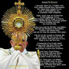 To distinguish the body of christ in this sense from his physical body, the term mystical body of christ is often used. Pin On Eucharistic Adoration Network