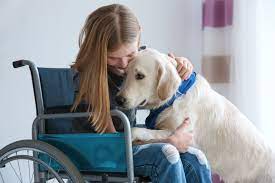 Guide To Pet & Animal Therapy For Kids With Disabilities