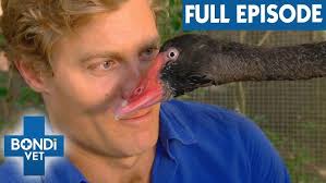 Dedicated Vets Perform Marathon Operations 😓