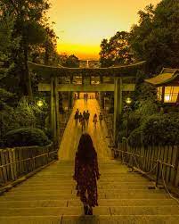 きれいな海にそびえ立つ白い鳥居 triproud 風景 美しい風景 美しい景色