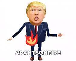 Pants On Fire Gifs Get The Best Gif On Giphy