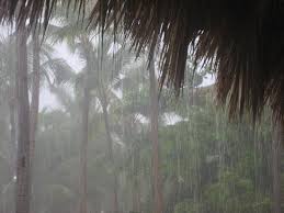 (buenos aires and environs) /ˈʃubja/, ˈʃu.β̞ja. Llego La Lluvia Picture Of Catalonia Punta Cana Golf Casino Resort Dominican Republic Tripadvisor