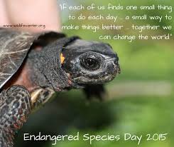 It looks like we don't have any quotes for this title yet. National Endangered Species Day Time To Think About The Little Things The Wildlife Center Of Virginia