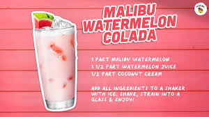 Malibu rum tastes way too good to waste it on a dumb drunk! Malibu Rum Maliburum Twitter