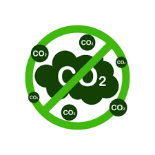 Eco Friendly