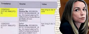 True Crime Community