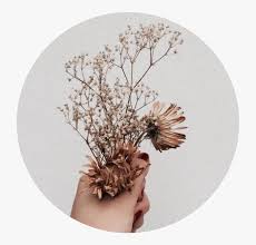 We did not find results for: Aesthetic Tumblr Aesthetic Brown Flowers Novocom Top