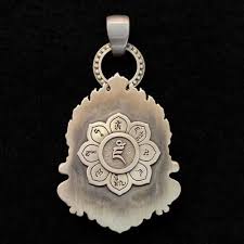 Image result for Triumfetta amuletum