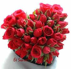 Here you can find different types of flower pictures, among them red flowers, white flowers, rose flowers, spring flowers, flower wallpapers and other flower images. 280 A Flower For You Ideas Beautiful Flowers Love Flowers Pretty Flowers