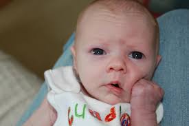 Joanne Pullan Memorial Page