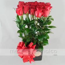 1h 23min | drama, romance | 24 november 2005 (argentina). 20 Rosas Rojas Freedom Mercado Jamaica