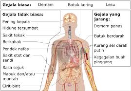 File Symptoms Of Coronavirus Disease 2019 2 0 Ms Svg Wikimedia Commons