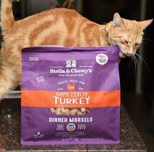 Named after the owner's pets who thrived on raw diets, stella & chewy's prides themselves on putting only the good stuff in their recipes. Stella Chewy S Freeze Dried Raw Dinner Morsels For Cats Raw Cage Free Turkey 98 Turkey Nutrient Rich Organs Bone Fortifie Freeze Drying Morsels Chewy