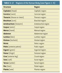 regions of the body chart lecture slide body chart