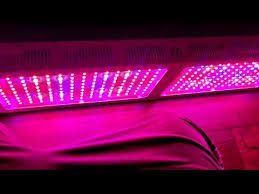 We did not find results for: Morsen 3000w Plus Led Grow Light Kicks On Fleek