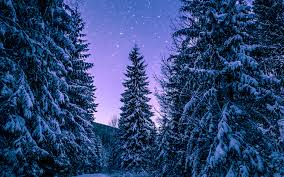 4k winter wallpapers for iphone ipad or macbook 4k winter wallpapers for iphone ipad