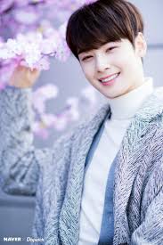 Male K Pop Idols That Define Beauty In South Korea Cha Eun Woo Eun Woo Astro Cha Eun Woo Astro