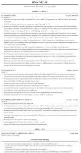 Sample & guide (20+ examples) whether you're internal or external, inventory or it, specialist or senior, this guide on writing a resume has everything needed to get the auditing job you've been searching for. Vp Internal Audit Resume Sample Mintresume