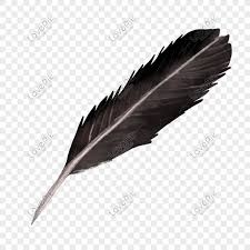 ريشة سوداء Black Feathers Image Feather