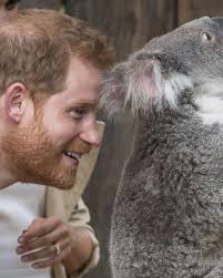 Princess Kate's sister, Pippa Middleton Matthews, gives birth to baby boy