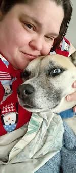 To the heartless POS that hit my dog