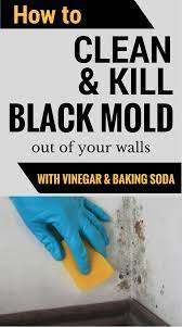 How To Clean Kill Mold Off Your Walls With Vinegar And Baking Soda Cleaninginstructor Com Mold Remover Cleaning Cleaning Hacks