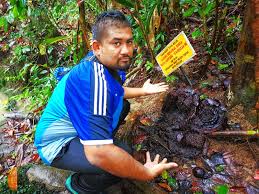 Visitor fees and other revenue help to fund conservation efforts and increases support for further protection of the state park. The Royal Belum State Park Perak Malaysia