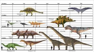The Whapplesaurus Whapplesaurus Size Comparison