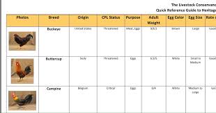 chicken breed chart our backyard homestead