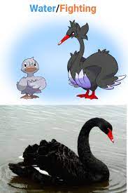 Swanna Water Fighting Fakemon Pokemon Fakemon Pokemon Water Fight