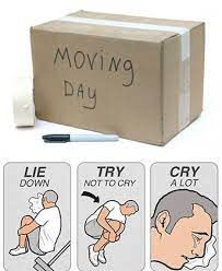 Ummemes Moving Day Moving Memes Moving Humor