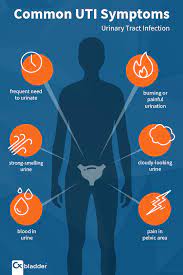 Water infection, male urinary system infection details. Can Recurrent Uti Symptoms Be A Sign Of Cancer Cxbladder