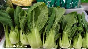 Cerita dalam kartun ini selalu mengenai kritikan, baik pedas maupun sindiran saja terhadap peristiwa yang ada di indonesia. Pak Choi Pak Kwang Tung à¸œ à¸à¸‰ à¸­à¸¢ Thai Thaifood De