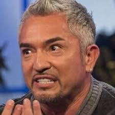 Shane Caswell's Instagram, Twitter & Facebook