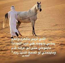 شعر نبطي قصيد ابيات قوافي عشق قافية غزل مدح كلمات خواطر بو ح funny arabic quotes beautiful arabic words queen quotes